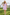Light Blue Chiffon Off‑Shoulder Spaghetti Strap 3D Flower Ruffle A‑Line Dress