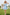 Light Blue Chiffon Off‑Shoulder Spaghetti Strap 3D Flower Ruffle A‑Line Dress