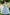 Light Green Floral Lace Tulle Large Back Bow A‑Line Dress