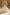 Champagne Heavy Lace Satin Bow Tulle A‑Line Dress