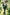 Deep Green & White Contrast Serge?Blend Single?Breasted 3?Piece Suit
