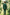Deep Green & White Contrast Serge?Blend Single?Breasted 3?Piece Suit