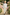 Cream White Minimalist V‑Neck Formal 2‑Piece Waistcoat Suit Set