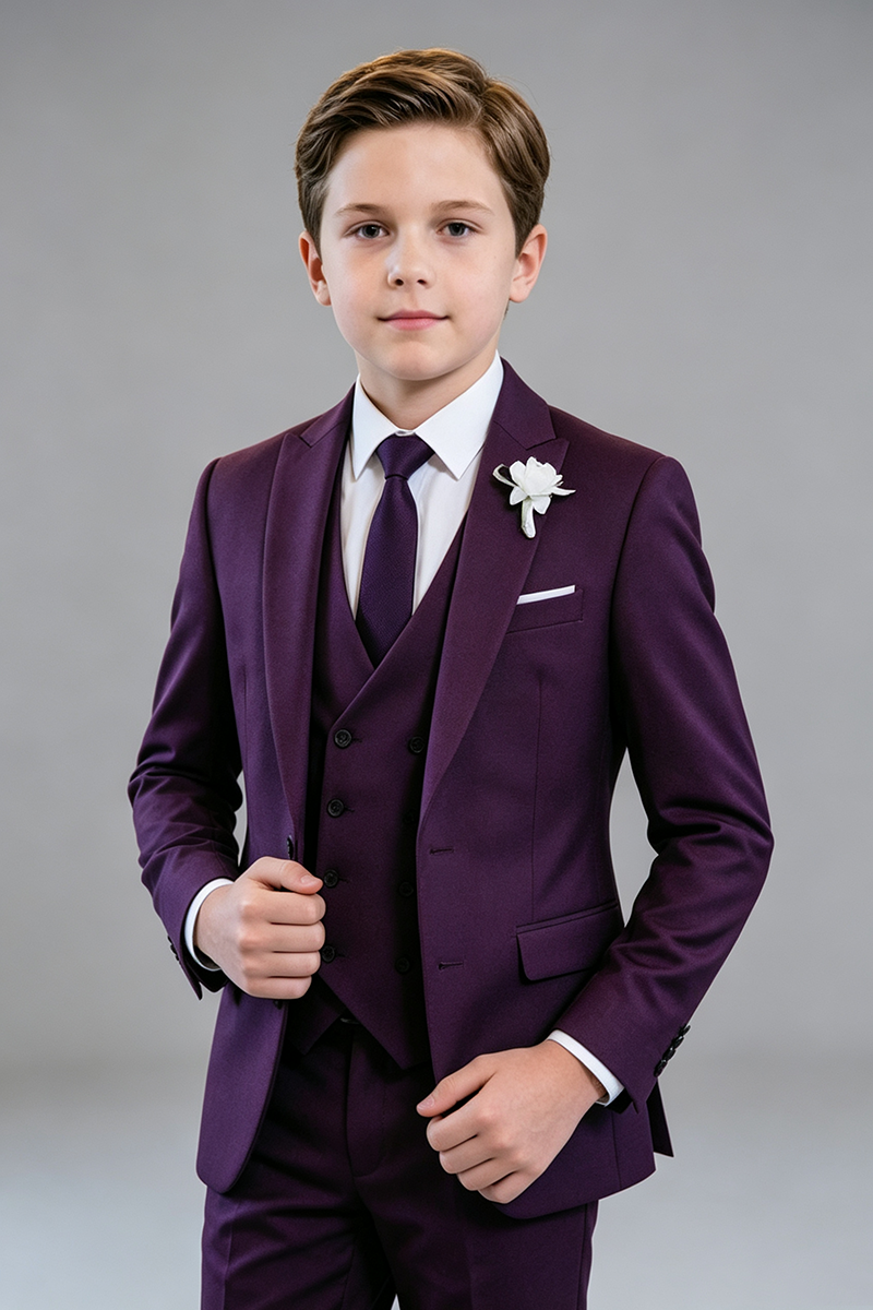 Boys Deep Purple Classic Notch Lapel 3-Piece Suit for Weddings