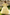 Yellow Long Sleeve Lace Tulle A‑Line Flower Girl Dress