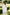 White Blend Single‑Breasted Basic Formal 3‑Piece Suit