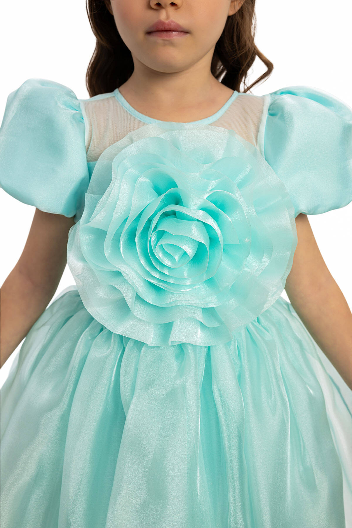 Turquoise Organza Large 3D Rose Puff Short Sleeve A-Line Flower Girl Dress