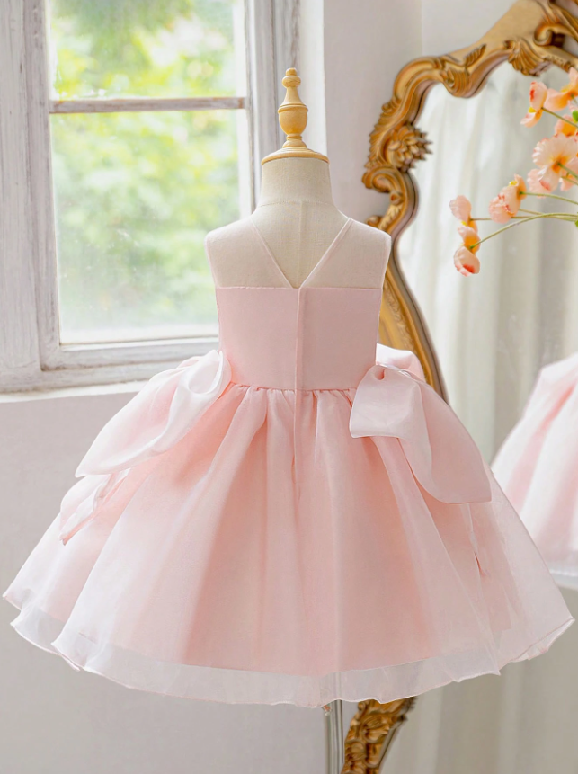 Light Pink Girls Tulle Sleeveless Round Neck Corset Bodice Big Bow Dress