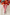 Kids Red White Striped Knee High Socks