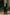 Boys Green Velvet 2-Piece Suit with Notched Lapel