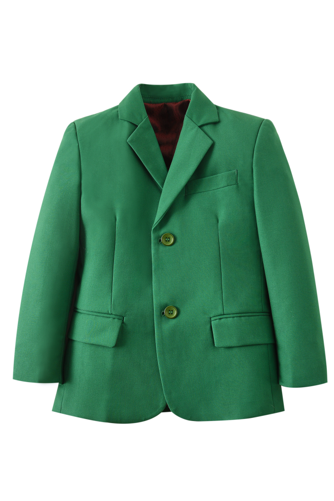 Boys Green Single Breasted 2-Piece Suit Set