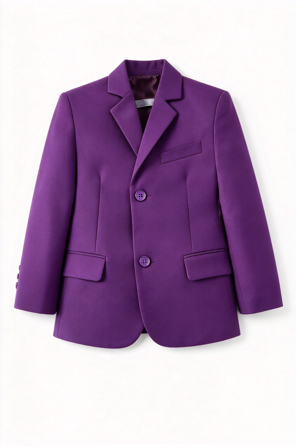 Boys Purple Single Breasted 2-Piece Suit Set