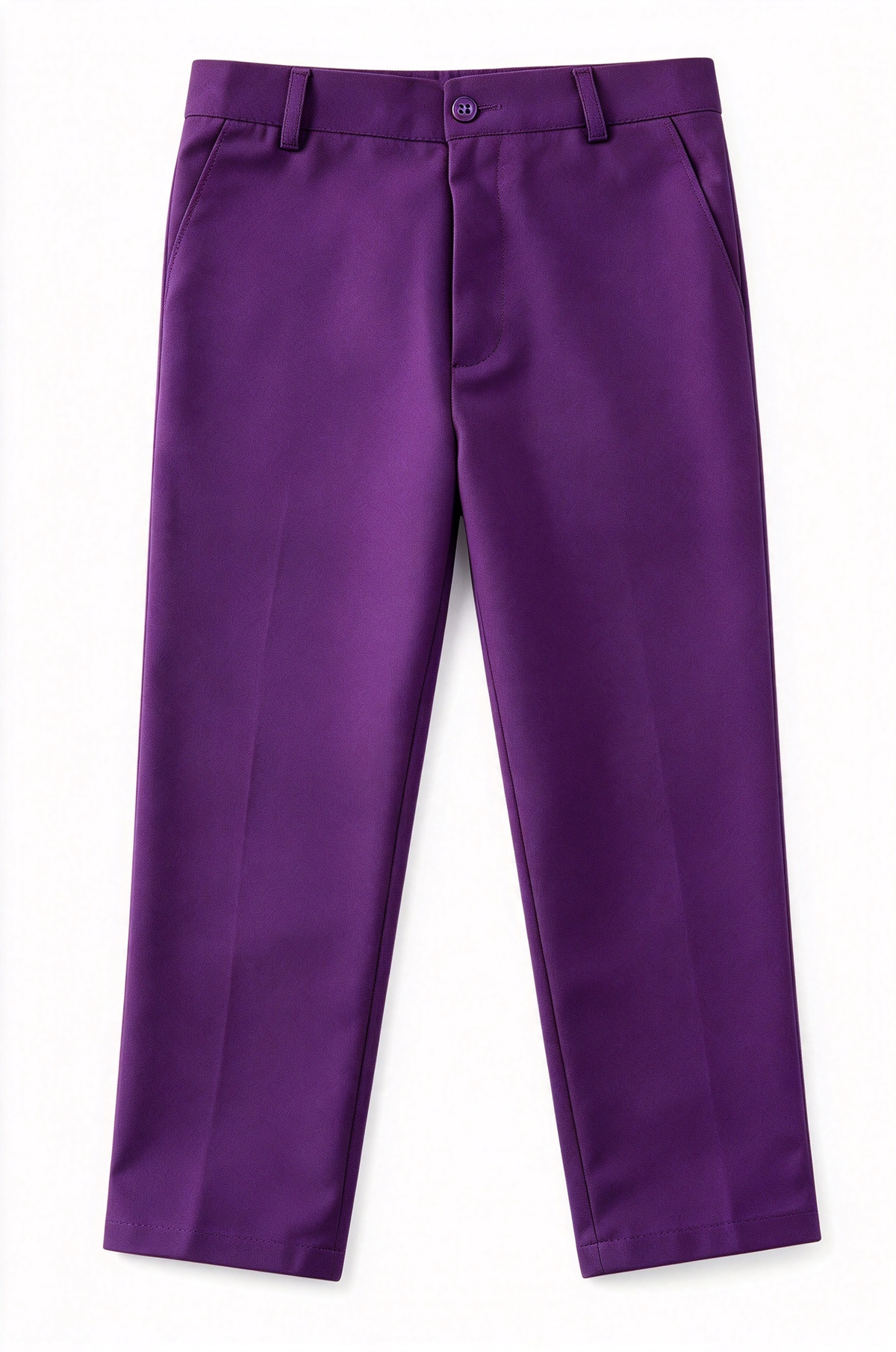 Boys Purple Single Breasted 2-Piece Suit Set